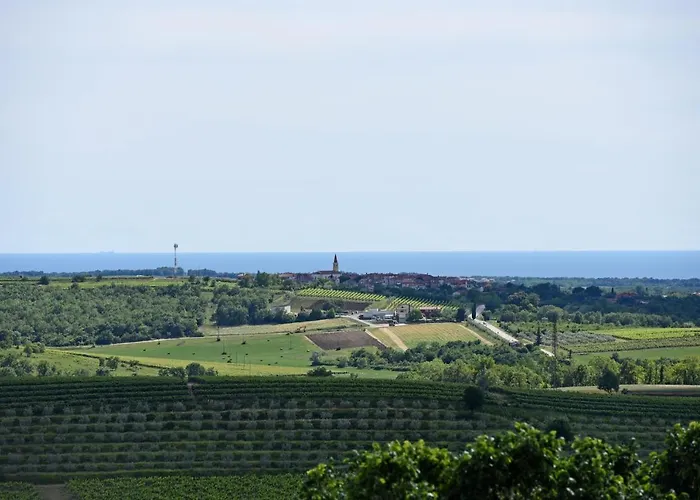 Apartment App Morena Buje